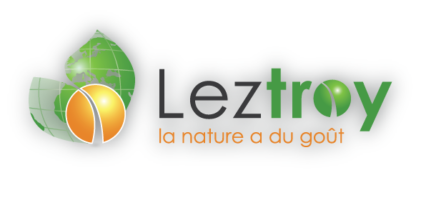 leztroy-logo